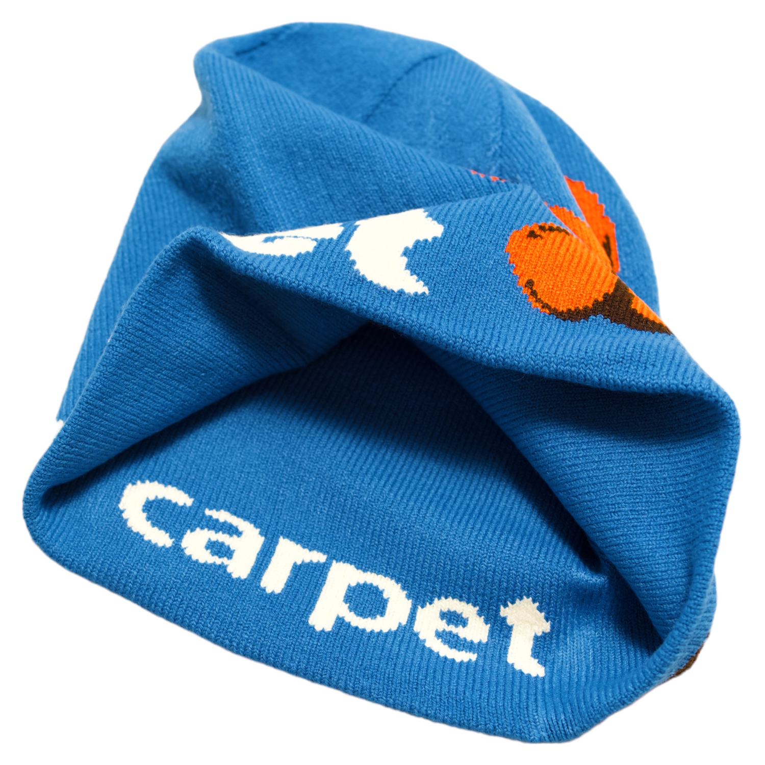 Bacteria Reversible Beanie - Blue — Carpet Company
